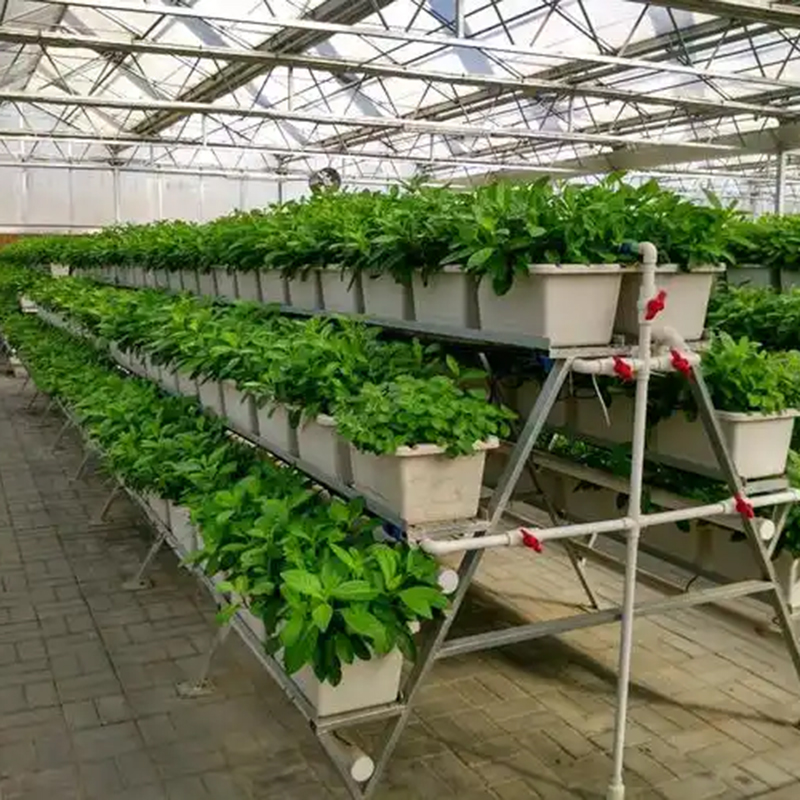 商洛市植物工厂鱼菜共生 - 排名