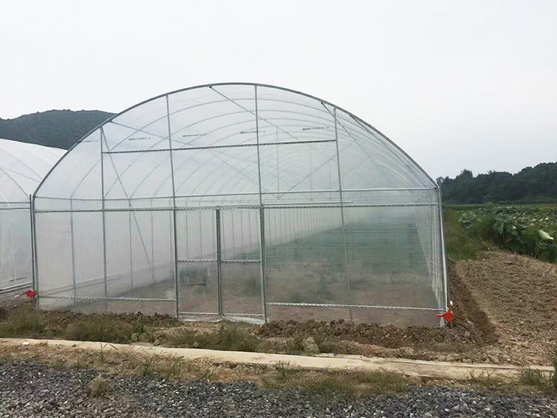 商洛市薄膜大棚鱼菜共生 - 价格